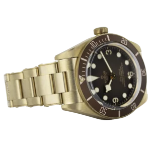 Tudor Bronze Black Bay 1