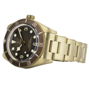 Tudor Bronze Black Bay 9