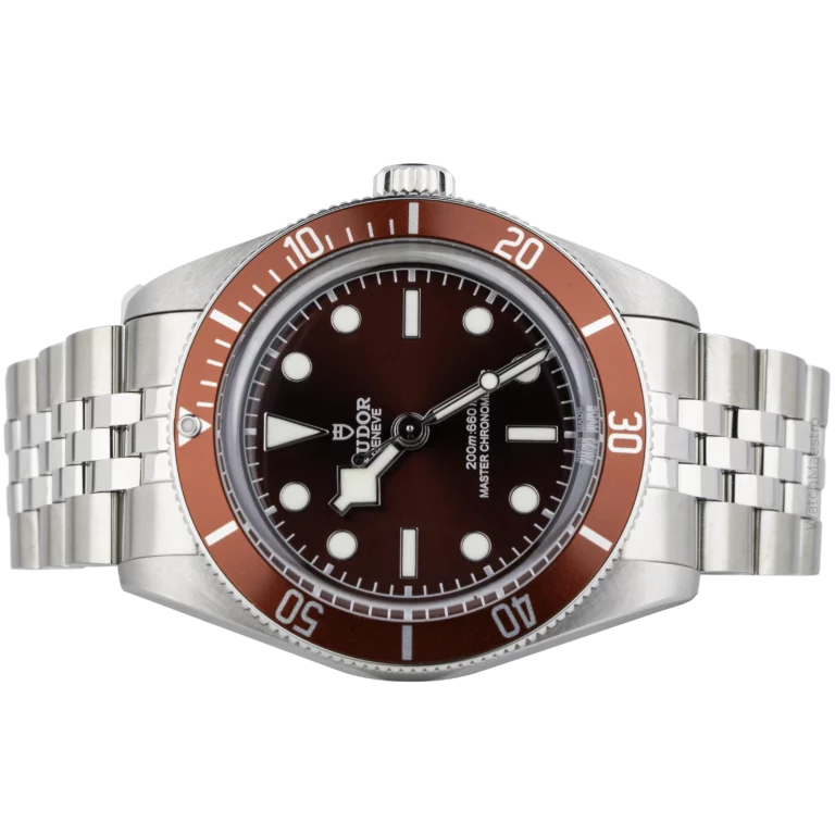 Tudor BlackBay 39mm Burgundy (2)