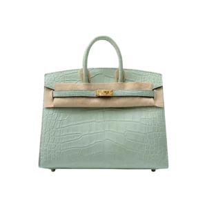 Hermes Birkin 20 Vert D’eau Matte Alligator GHW