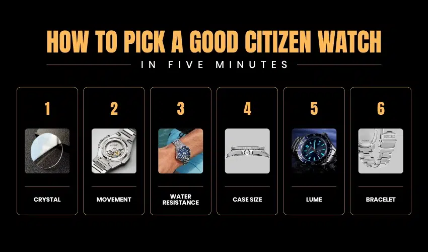Pick a Good Citizen Watch Quickly