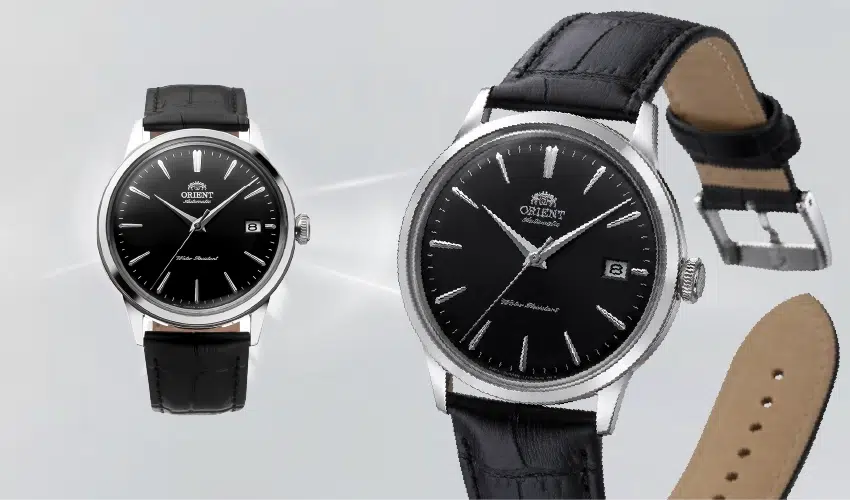 Most Affordable Automatic Watches : Orient Bambino